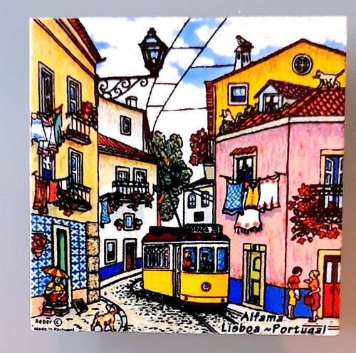 Fridge magnet from portugal - fridge,