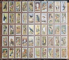 John Player & Sons  Wild Birds