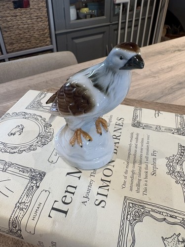 Vintage falcon sparrow - vintage, hawk