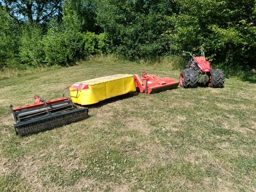 Pedestrian mower agria - pedestrian,