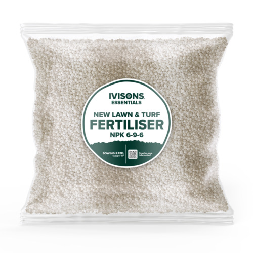 Ivisons pre seed - ivisons,
