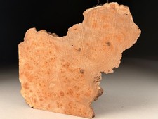 Cap Burr Elm Live Edge Resin