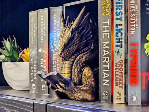 Dragon reading book - book, nook