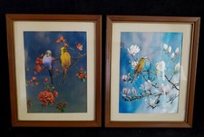 Pair of Prints Parakeet Foil