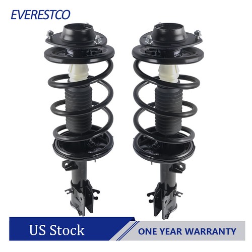 2pcs complete strut assembly - 2pcs,