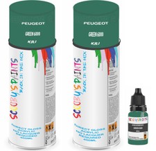 For Peugeot Spray Paint