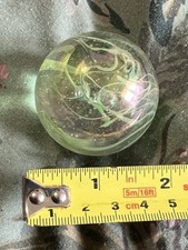 Large Lustered  Green