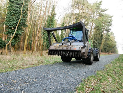 Photo 6x4 forestry stump - 6x4,