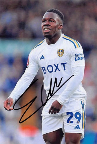 Wilfried gnoto signed - wilfried,