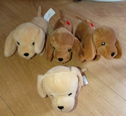 Dachshund sausage puppy dog - sausage,