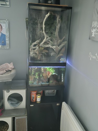 Glass terrarium vivarium - glass, terrarium/vivarium