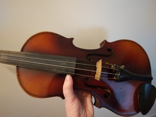 Antonius stradivarius - antonius,