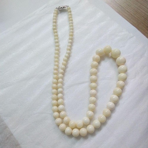 Okinawa white coral long - okinawa,