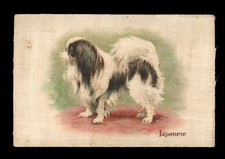 JAPANESE CHIN Jap Chin Dog