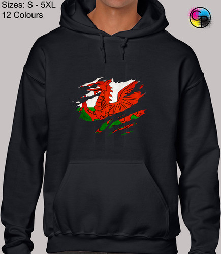 Welsh flag slash - welsh, wales
