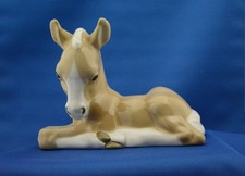 STUDIO SZEILER__FOAL LYING