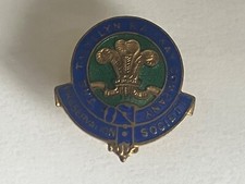 Vintage The Talyllyn Railway Company Preservation Soc Enamel Lapel Button Badge