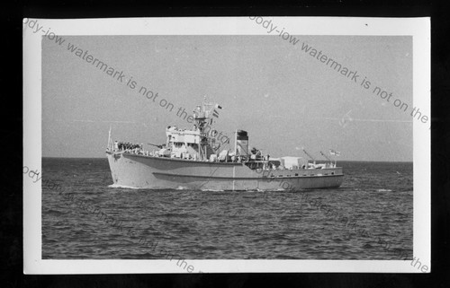 Nv068 royal navy - royal,