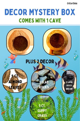 Aquarium decor custom boxes - decor,