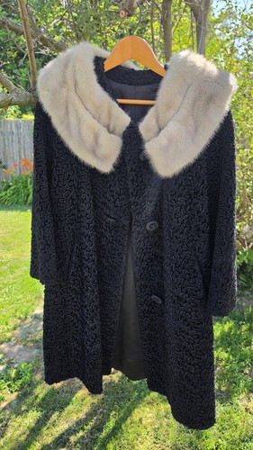 Vintage curly persian - vintage,