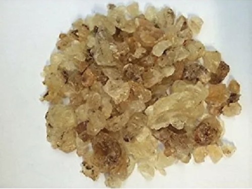 500g edible gum - gum, char