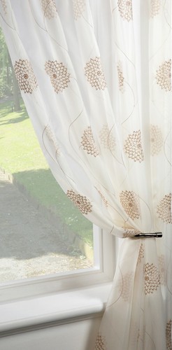 Dahlia cream gold - dahlia,