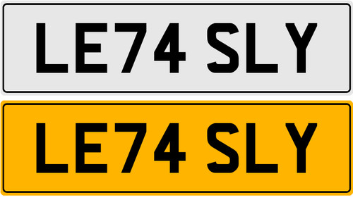 Le74 sly leslie lesley les - leslie, lez