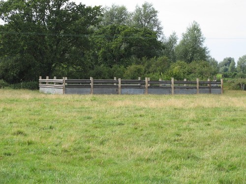 Photo livestock - photo, (cattle)