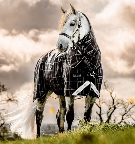 Horseware rhino pony bundle - rhino,