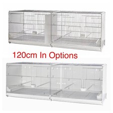 120cm finch canary - 120cm,