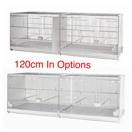 120cm finch canary budgie - finch,