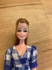 Vintage 1970 Palitoy Pippa