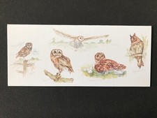 Phoenix Trading Cards. 'Owls.'
