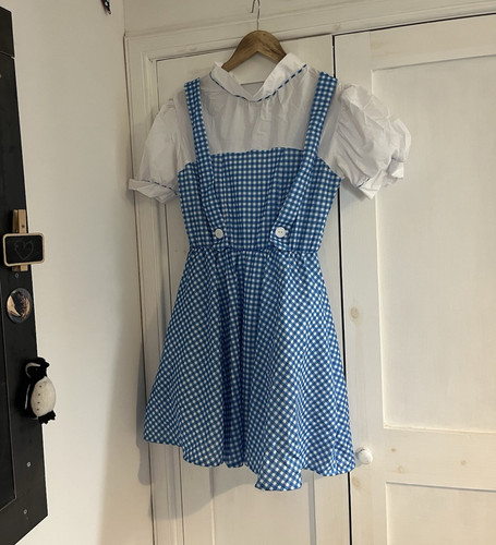 The wizard dorothy - wizard,
