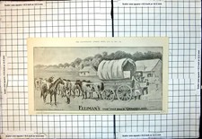 Antique Print Ellimans