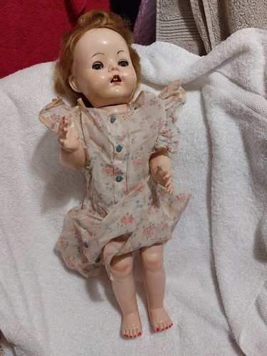 Vintage pedigree sandy - vintage,