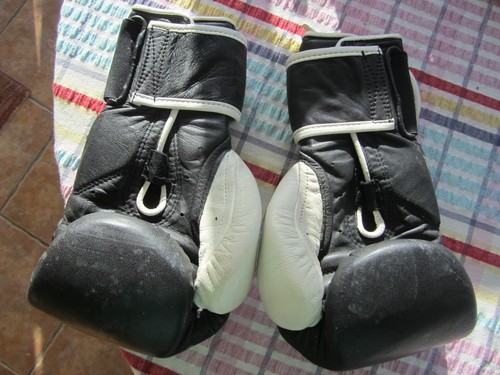 Hayabusa boxing gloves - , 10oz