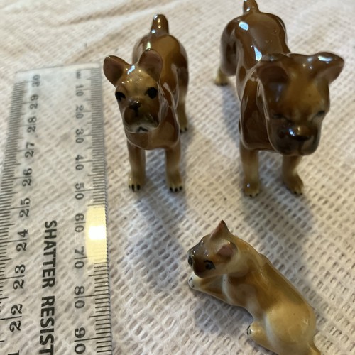 Set ceramic boxer dogs - 3,