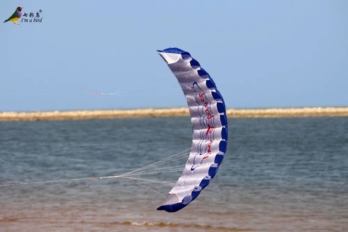 Dual line parafoil kite - dual,