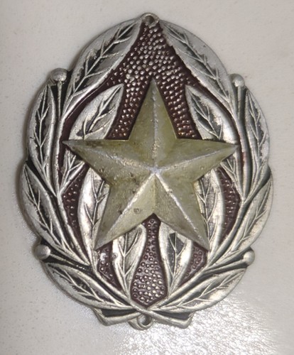 Ww2 japanese medal - medal, military