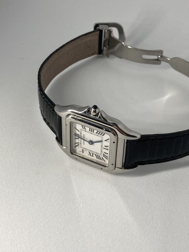 Cartier panther stainless - cartier,