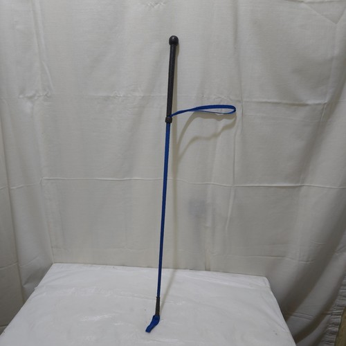 Riding crop whip in - –, blue