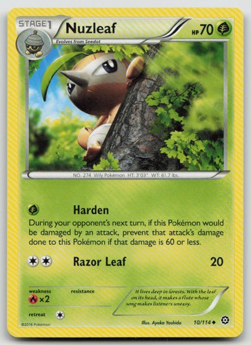 Nuzleaf sts steam - sts, xy