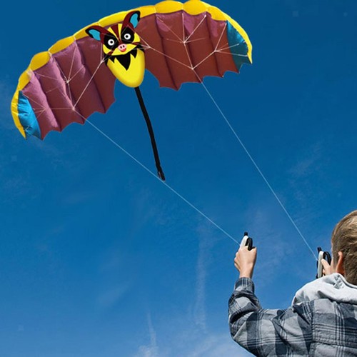 Kite with 30m string - with, flying