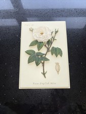 M&S Vintage Hand Painted Wall