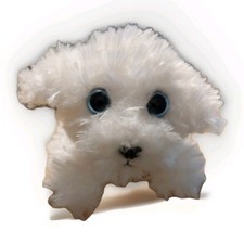 Russ Petooties Pets Bichon