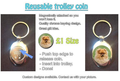 Pomeranian dog reusable 1 - dog,