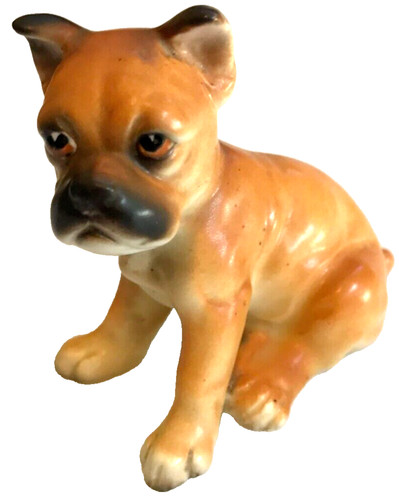 Adorable boxer pup dog - adorable,