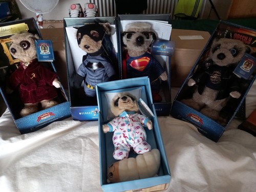 Compare the market - the, meerkat