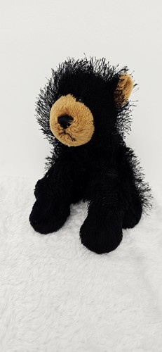Ganz webkinz black - bear, model